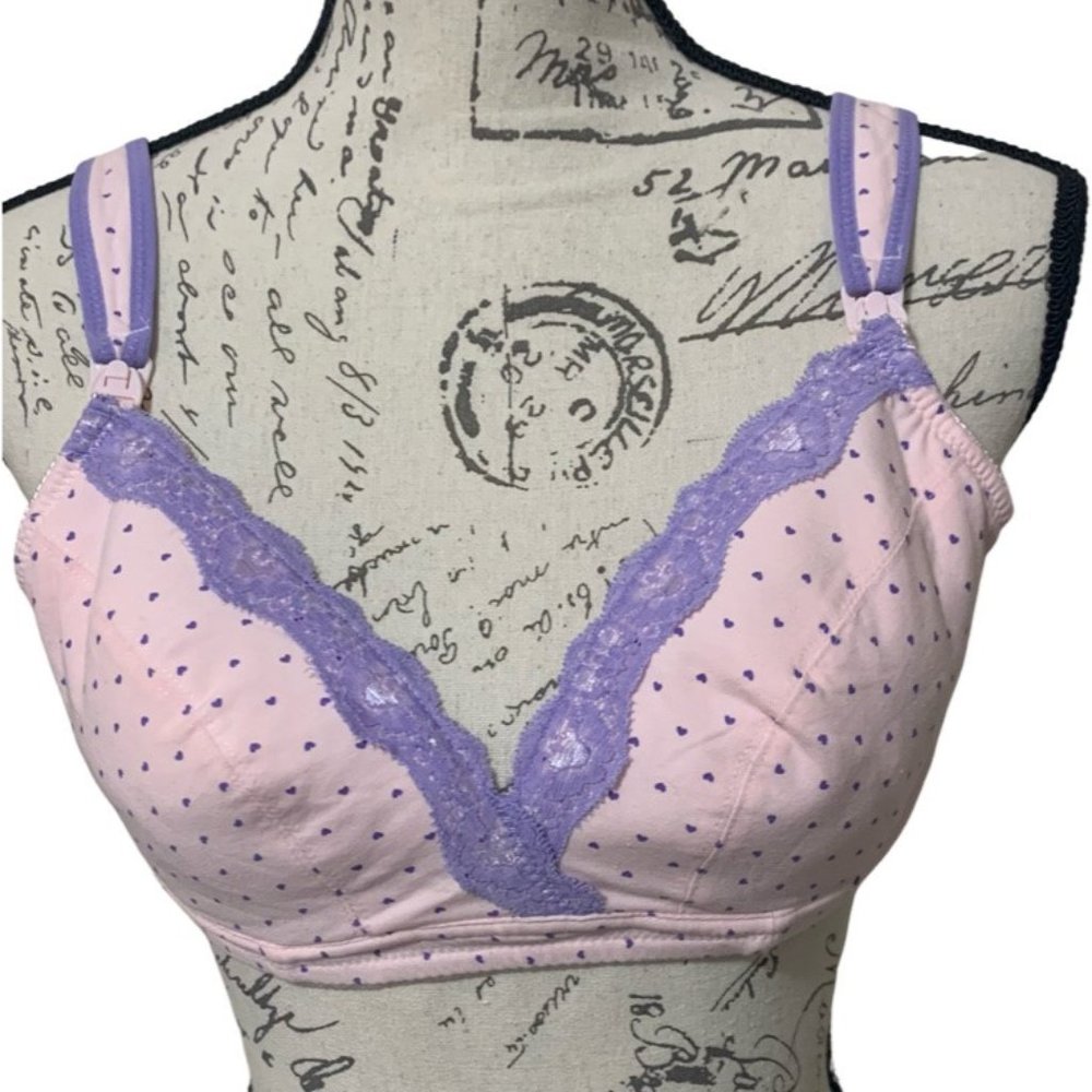 NWT "Dream of Spring" Pink Bra with Purple Hearts - 36B